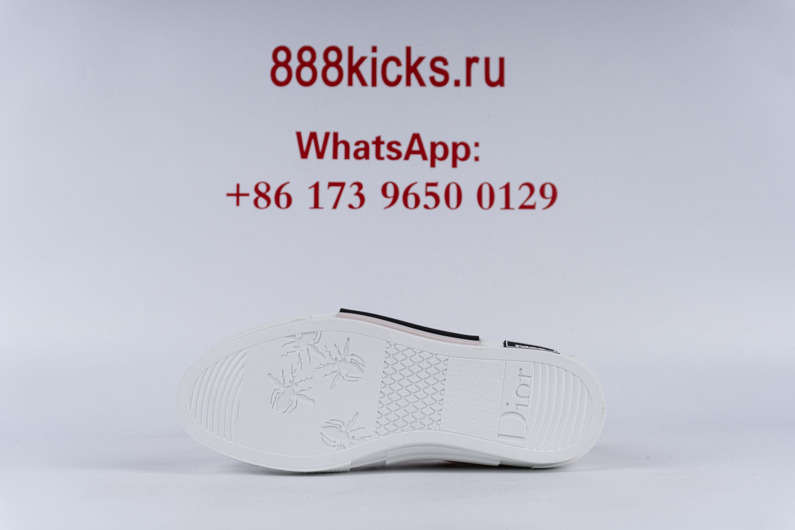 D1or B23 Low Top Multicolor Oblique
